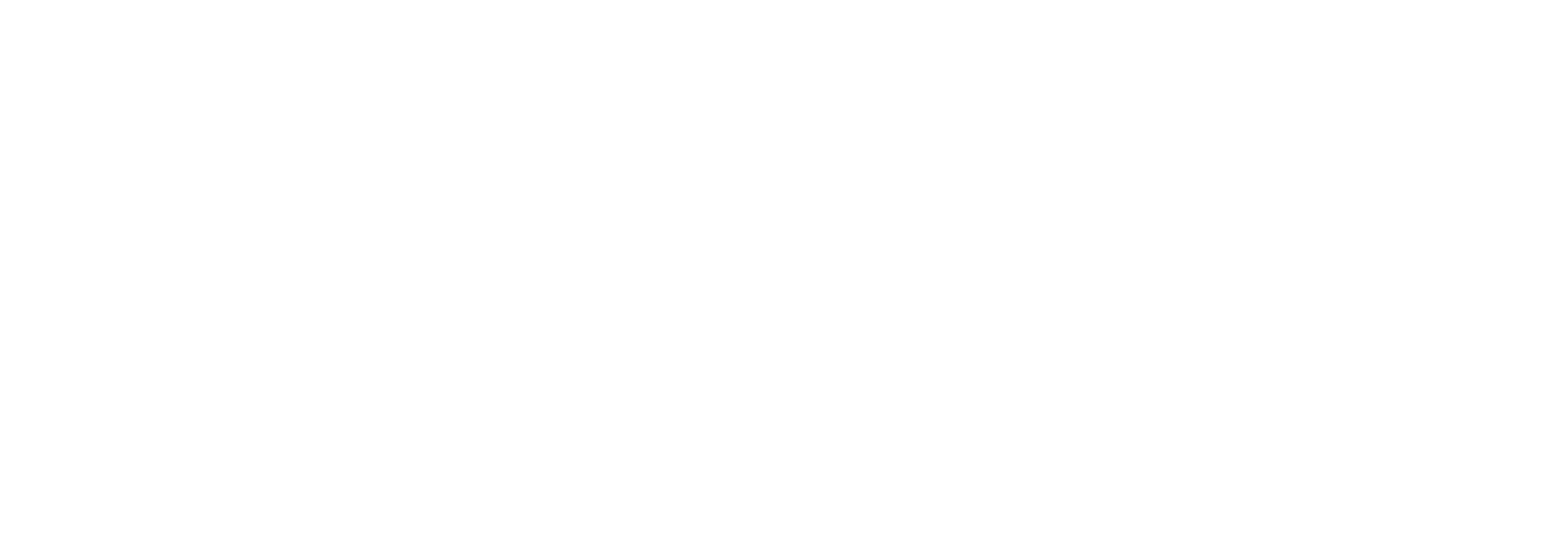HVS Tech LLC