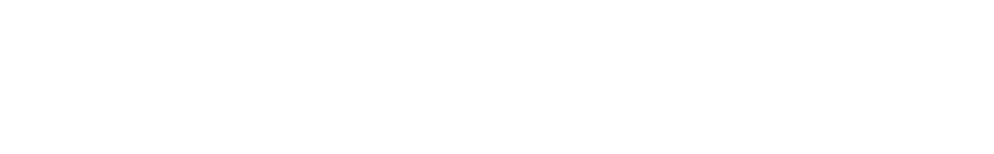 HVS Tech LLC